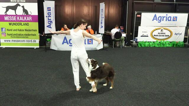 FINALE - "DIE-GROSSE-HUNDE-CASTING-SHOW 2023"
Die Siegerin mit einer Dog Dance Show Präsentation Jessica Lang mit Ihrem Hund Infinity. | Foto: Ulrich Rabenortr