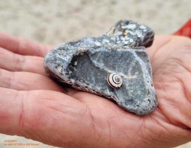 entdecken staunen genießen