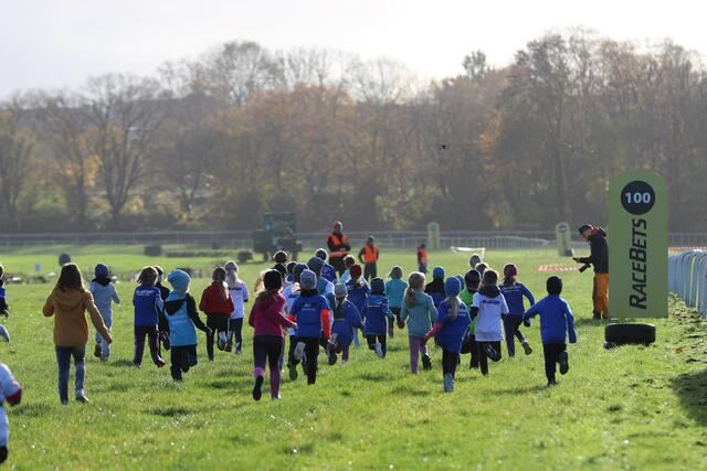 Foto: Bilder vom Marathon und Triathlon Mülheim