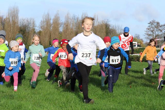 Foto: Bilder vom Marathon und Triathlon Mülheim