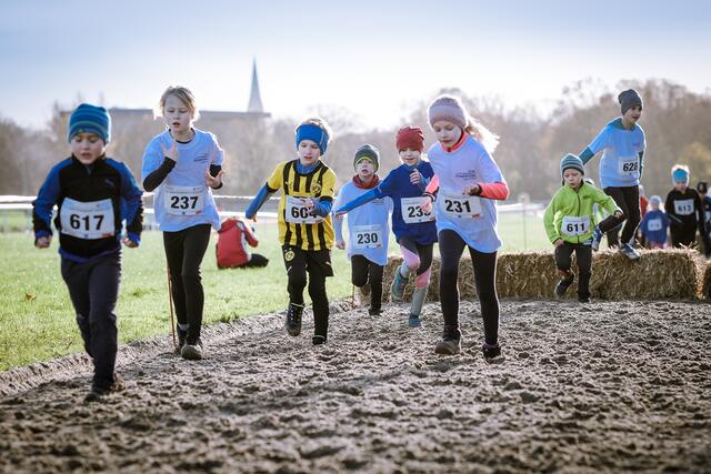 Foto: Bilder vom Marathon und Triathlon Mülheim
