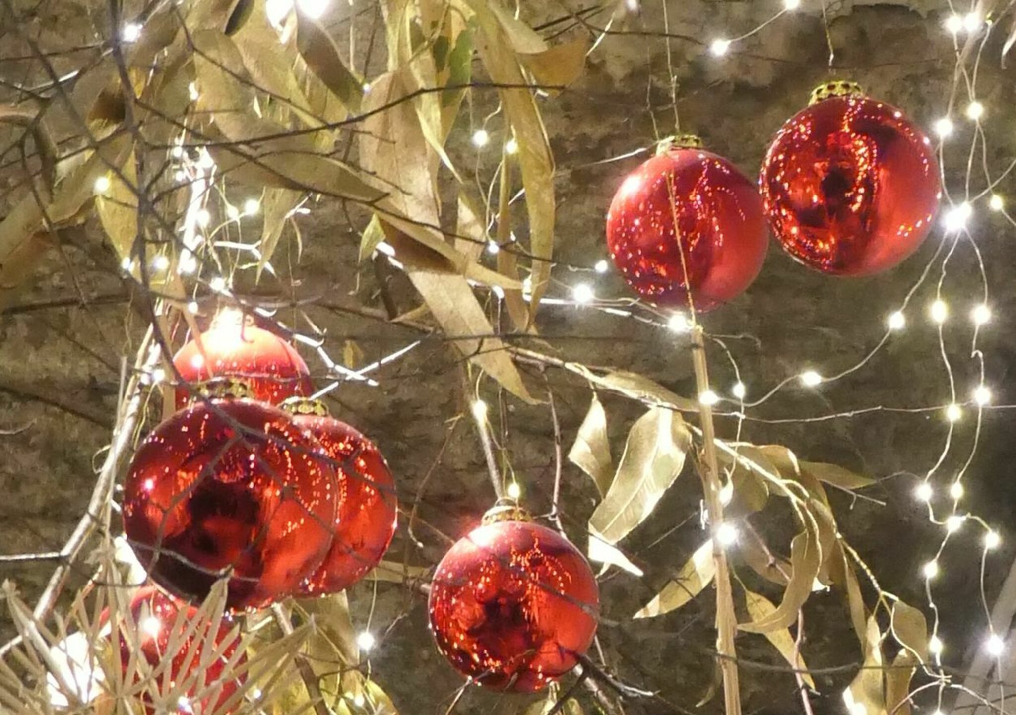 Advent: Weihnachtsfreude im Erfurter Felsenkeller 2023 - Alpen