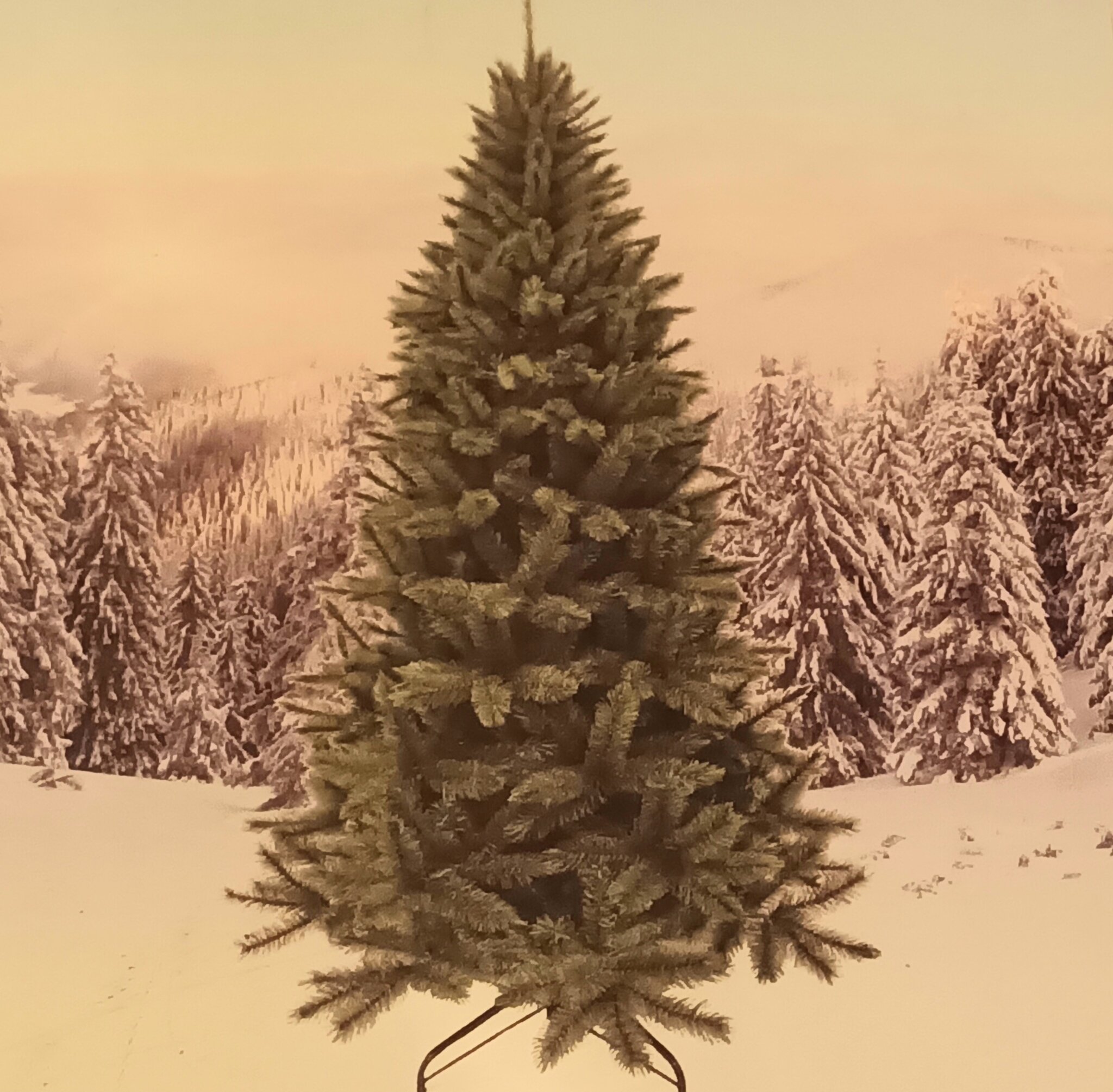 Da neue Baum ist da! Eine Weihnachtsgeschichte Kleve