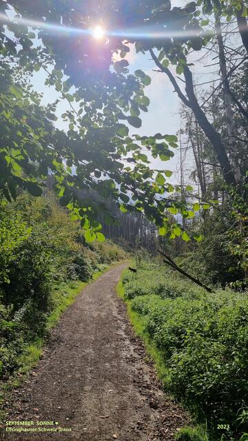 SONNE im beginneden Herbst
2023@ana´