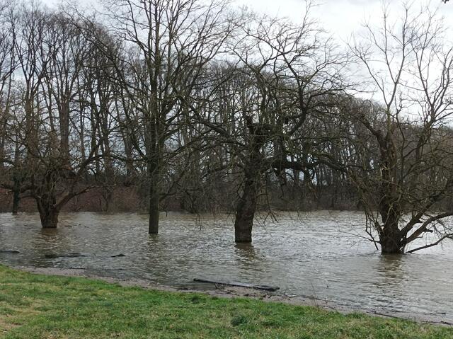 am alten Lippehafen
die alten Maulbeerbäume vom Wasser umspült
