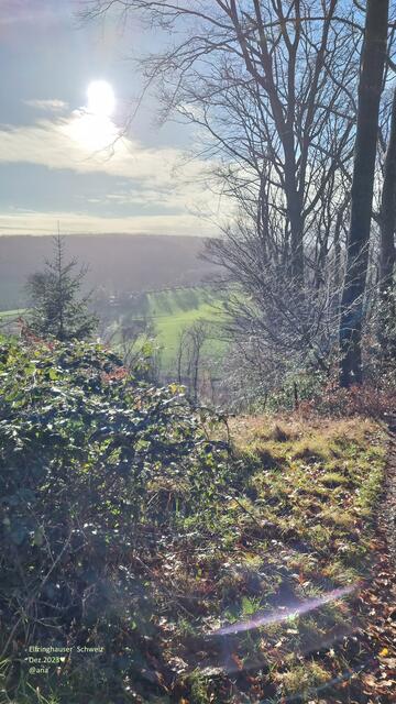 Spaziergang in Elfringhauser Schweiz ♥