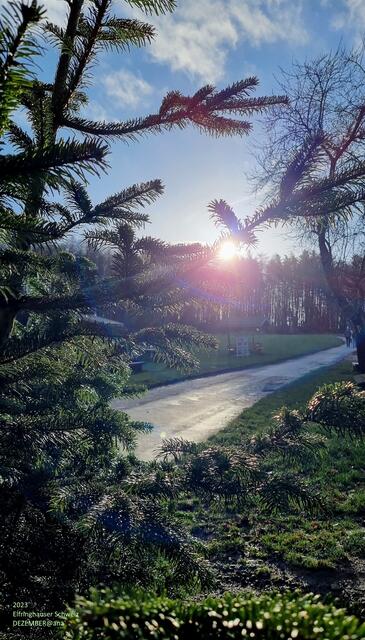 ...schon FAST im Winter :-))))