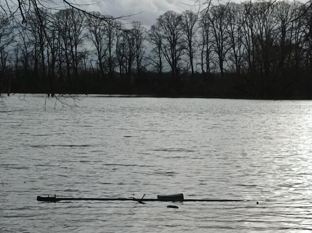sieht aus wie ein See,
ist jedoch die Fläche vom alten Lippehafen.