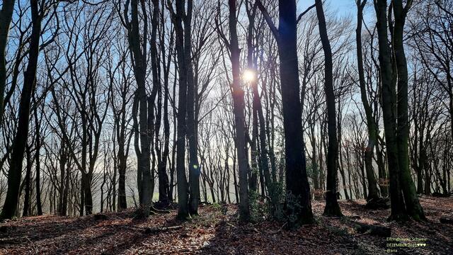 sonnige Blinzel´-Momente ♥