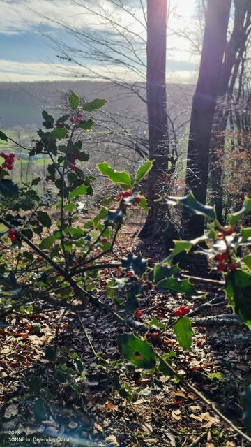 sooooooooo schön :-)
2023