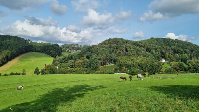 NATUR Schönheiten und ...RUHE genießen: Pause in der Elfringhauser Schweiz :-)
Herbst 2023