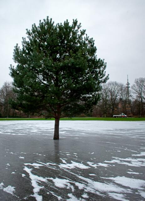 Foto: Stefanie Vollenberg