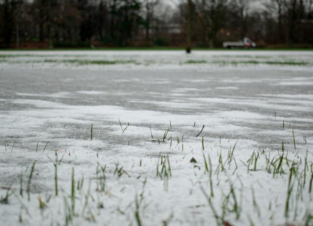 Foto: Stefanie Vollenberg