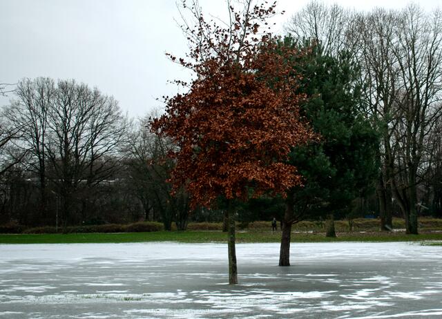 Foto: Stefanie Vollenberg