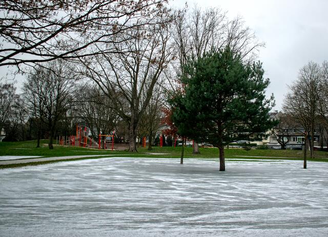 Foto: Stefanie Vollenberg