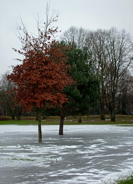 Foto: Stefanie Vollenberg