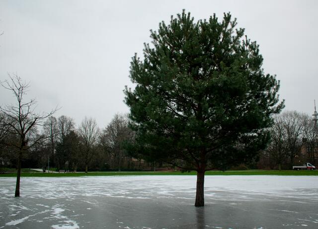 Foto: Stefanie Vollenberg