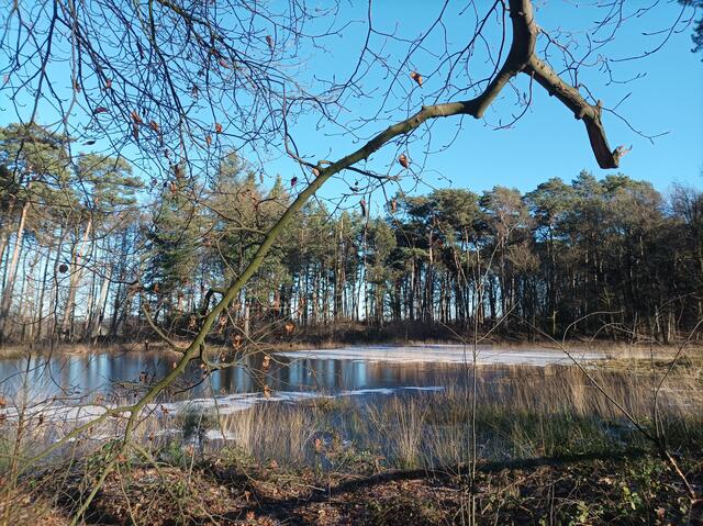 Schwarzes Wasser Wesel: Ein Naturerlebnisweg mit herrlichen Aussichten - Wesel