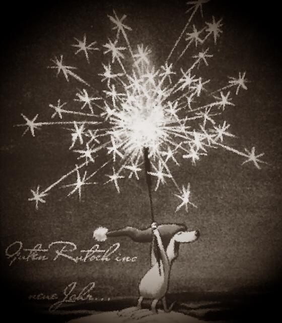 guuuten Rutsch ... hieß es dann überall am 31.12.23 (Internet-Fund´)