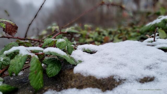 Kleine besondere Schönheiten entdecken ... auch, wenn was´gerade nicht so gut läuft 
2024@ana´
