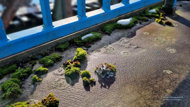 Brücke "bewohnt" :-)