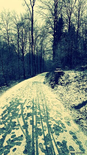 DÜSTER ... tief hinuter in den dunklen Wald ...