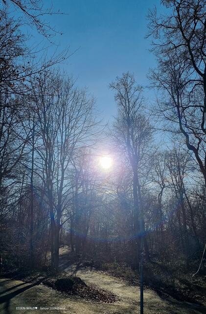 sonniger TAG Ende Januar 2024♥ mitten in Essen