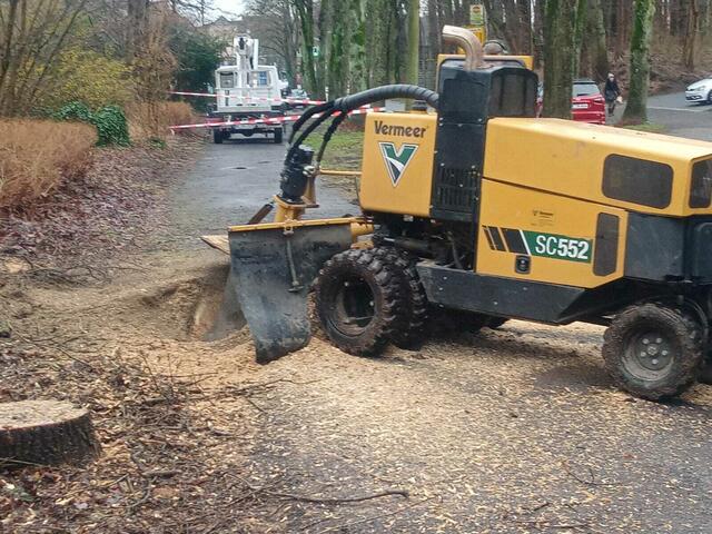 Foto: Christian Thieme 