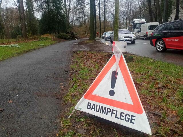 Foto: Christian Thieme 