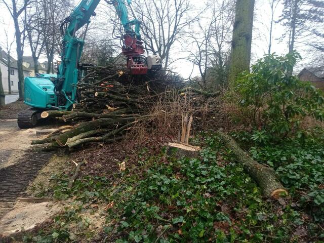 Foto: Christian Thieme 