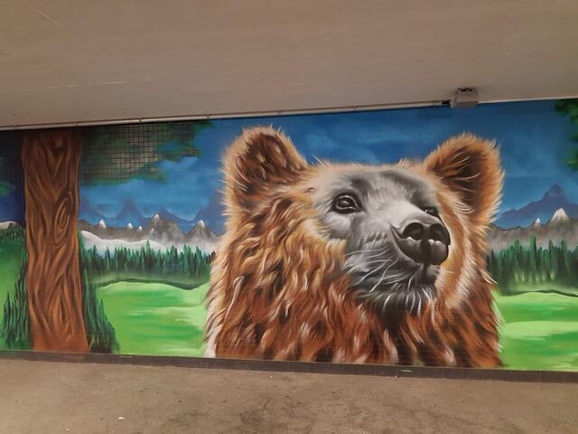 Bunt im Untergrund - Graffiti im Hbf Ludwigshafen