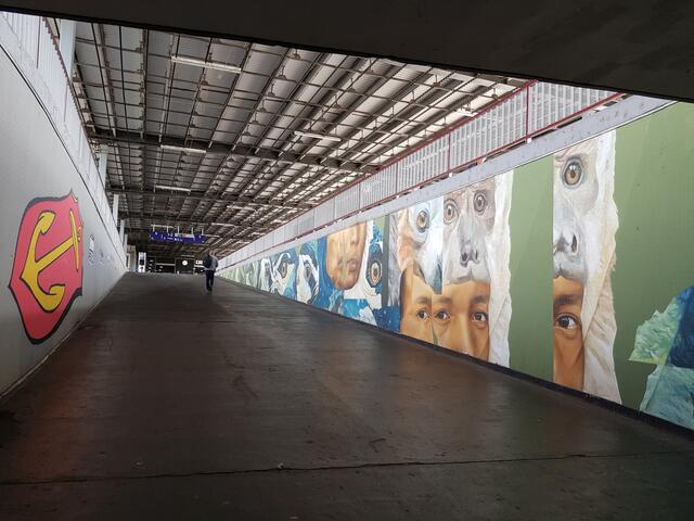 Bunt im Untergrund - Graffiti im Hbf Ludwigshafen