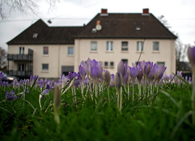 Foto: Stefanie Vollenberg