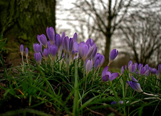 Foto: Stefanie Vollenberg