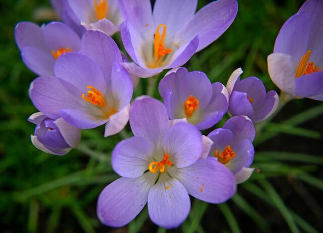 Foto: Stefanie Vollenberg