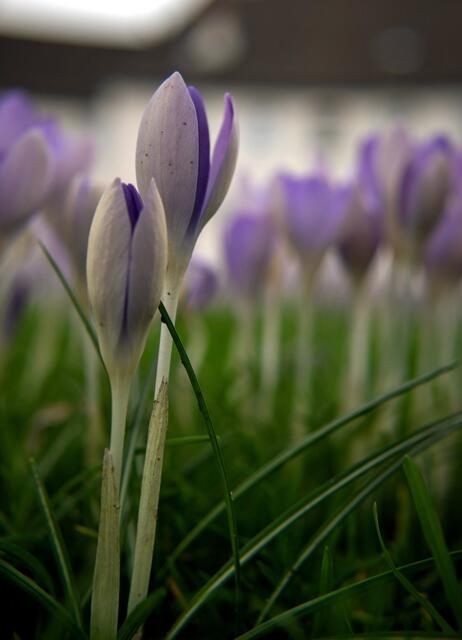 Foto: Stefanie Vollenberg