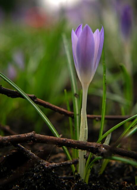 Foto: Stefanie Vollenberg