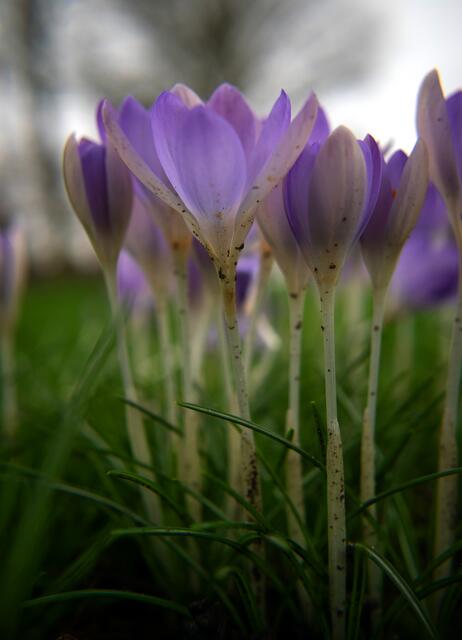 Foto: Stefanie Vollenberg