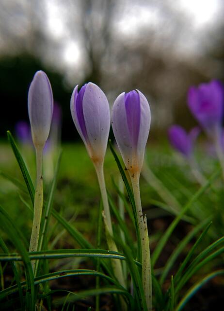 Foto: Stefanie Vollenberg