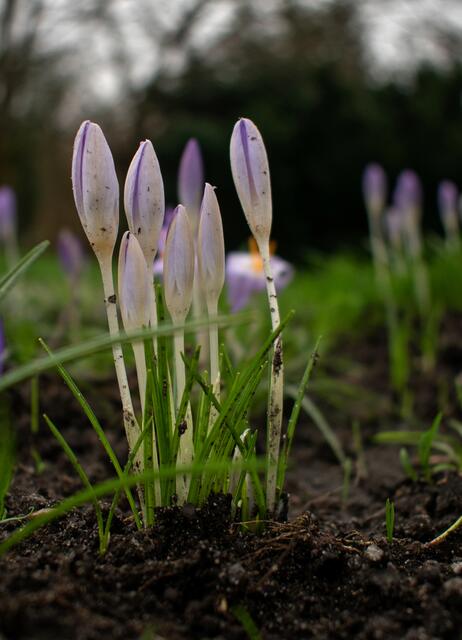 Foto: Stefanie Vollenberg