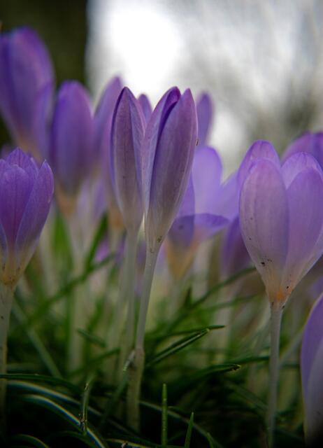 Foto: Stefanie Vollenberg