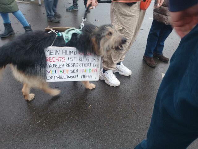 Foto:  Christian Thieme 