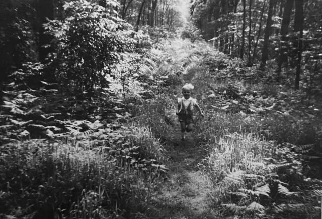 1950er - Im Hiltroper Busch | Foto: Familie Markewitz