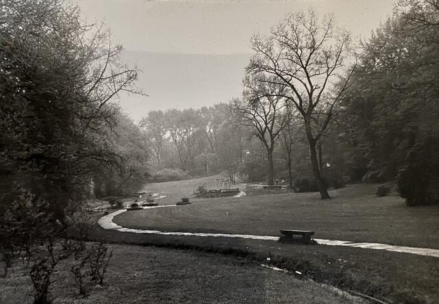 Blick vom Ententeich zum Spielplatz | Foto: Horst-Dieter Kulliga