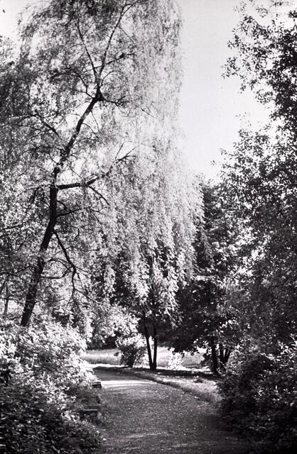 Im Hiltroper Park | Foto: Sammlung Horst-Dieter Kulliga