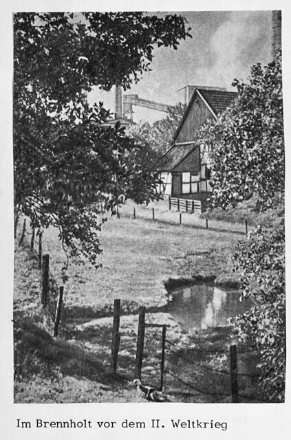 Im Brennholt in den dreißiger Jahren | Foto:  aus Hiltrop im Wandel der Zeiten 1977
