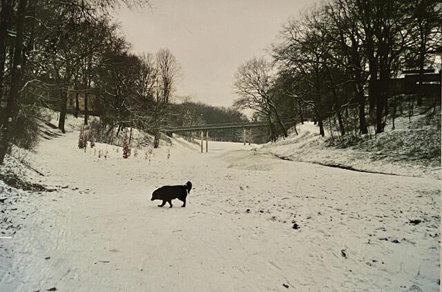 Ein letzter freier Parkblick durch das Ostbachtal 2001