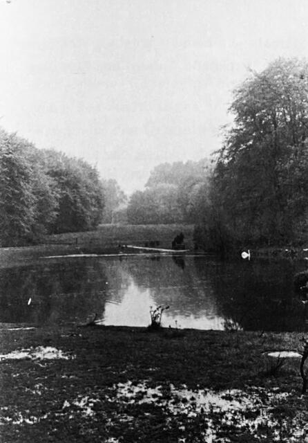 Blick übern Ententeich zum Brennholt | Foto: Sammlung Horst-Dieter Kulliga