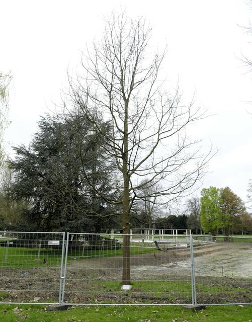 Foto: ©Rainer Bresslein