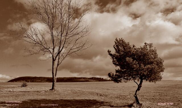 SEPIA-Schatten :-)))